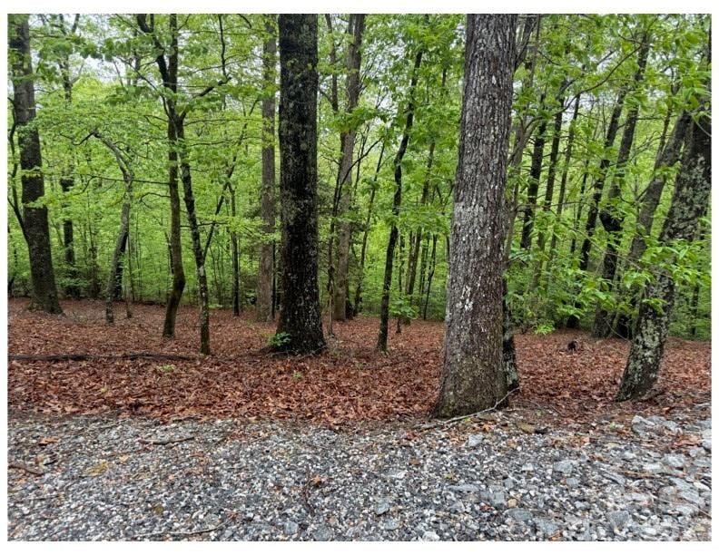 39 Black Bear Ridge Trl #20, Zirconia, NC 28790