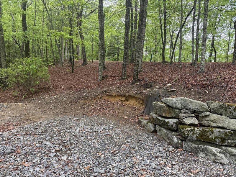 39 Black Bear Ridge Trl #20, Zirconia, NC 28790