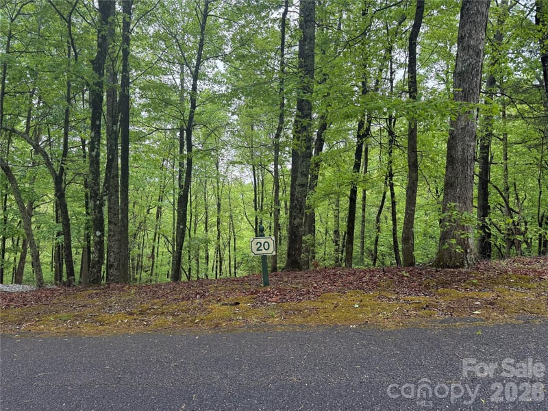 39 Black Bear Ridge Trl #20, Zirconia, NC 28790