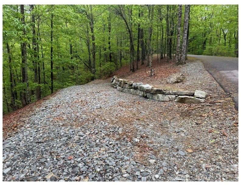 39 Black Bear Ridge Trl #20, Zirconia, NC 28790