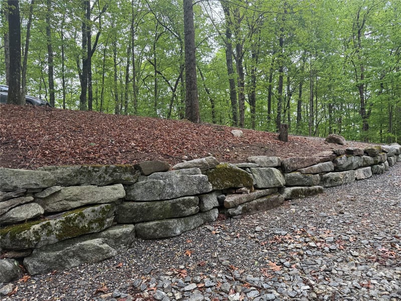 39 Black Bear Ridge Trl #20, Zirconia, NC 28790
