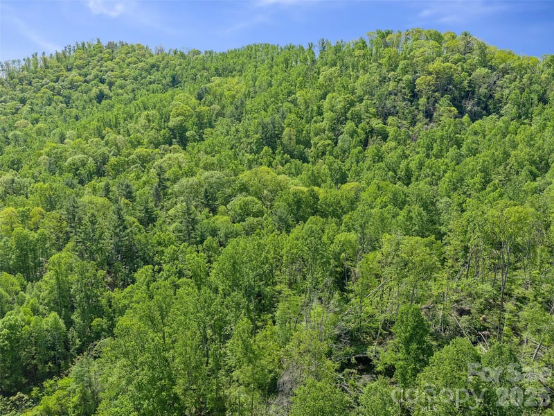615 Fred Sparks Rd, Bakersville, NC 28705