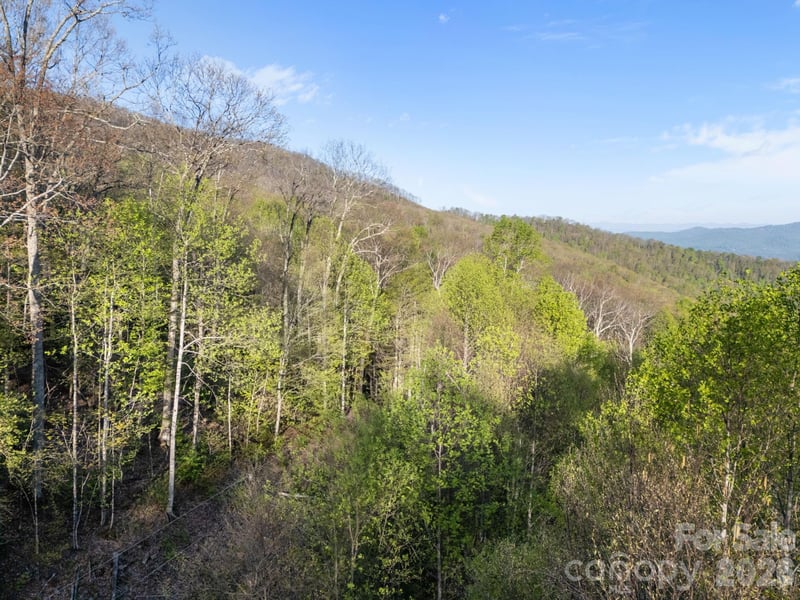 58 Mountain Azalea Dr, Swannanoa, NC 28778
