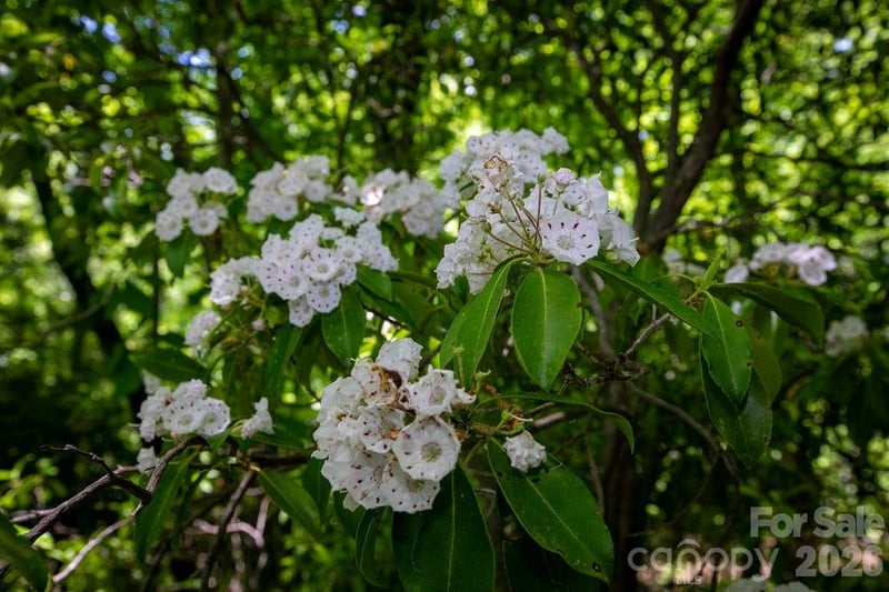 TBD Diamond Creek Rd, Lake Toxaway, NC 28747