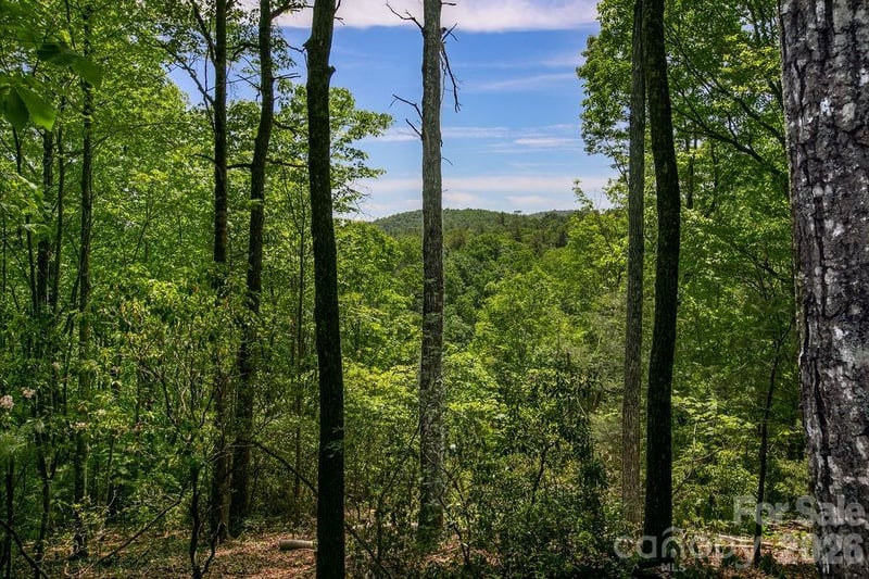 TBD Diamond Creek Rd, Lake Toxaway, NC 28747