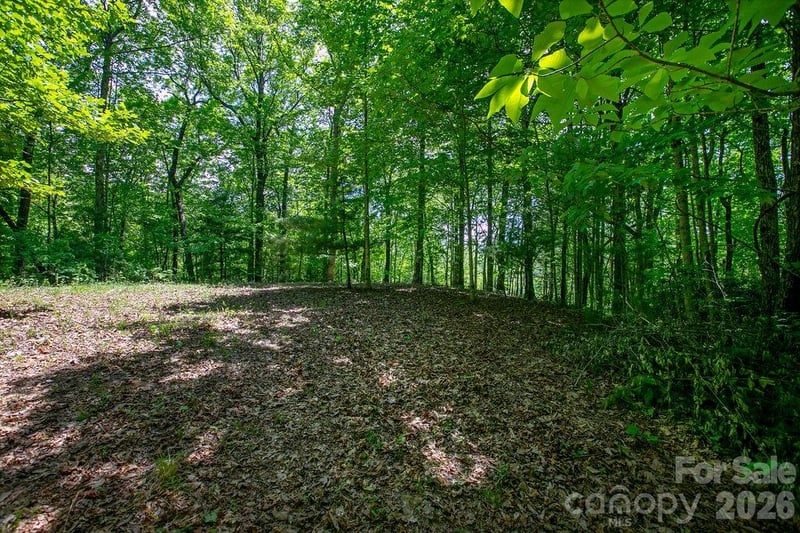 TBD Diamond Creek Rd, Lake Toxaway, NC 28747