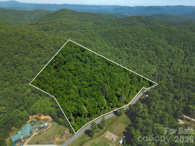 TBD Diamond Creek Rd, Lake Toxaway, NC 28747