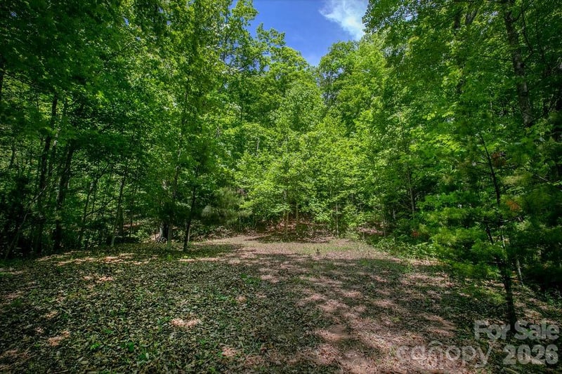 TBD Diamond Creek Rd, Lake Toxaway, NC 28747