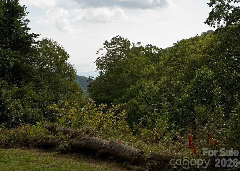 165 Peepeye Cove Rd, Leicester, NC 28748