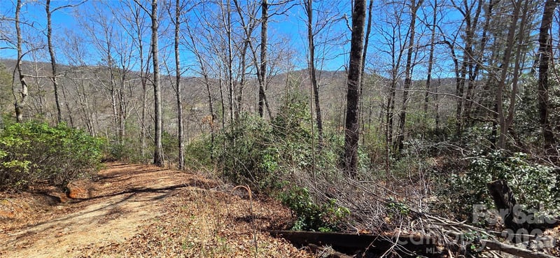 90 Kimiko Ln #30&31, Balsam Grove, NC 28708