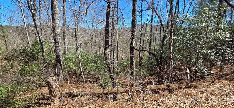 90 Kimiko Ln #30&31, Balsam Grove, NC 28708