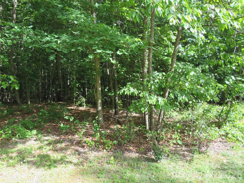 Woodleaf Rd, Forest City, NC 28043