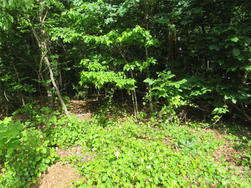 Woodleaf Rd, Forest City, NC 28043