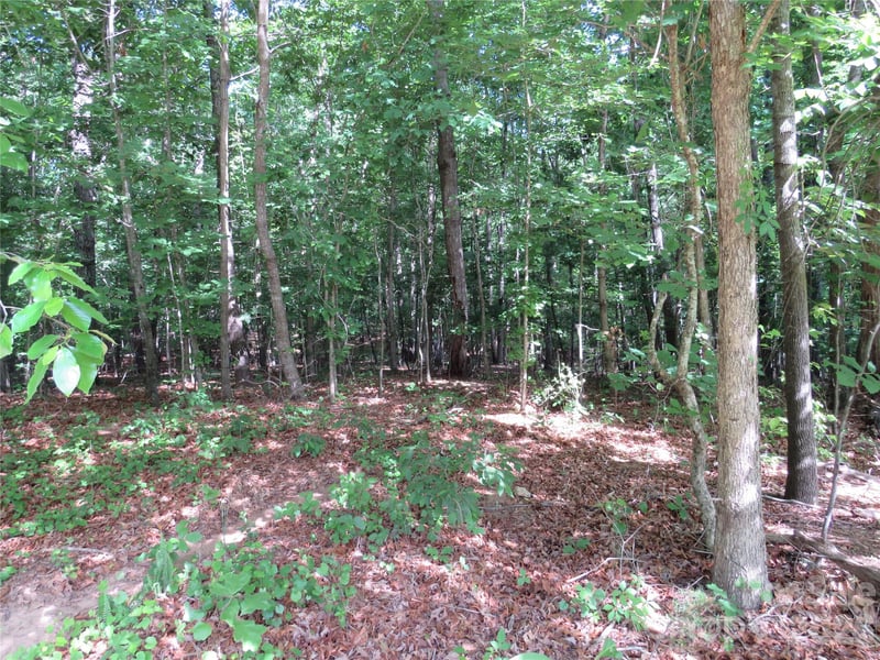 Woodleaf Rd, Forest City, NC 28043