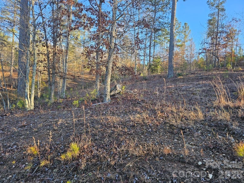 2167 Inlet Shore Rd, Connelly Springs, NC 28612