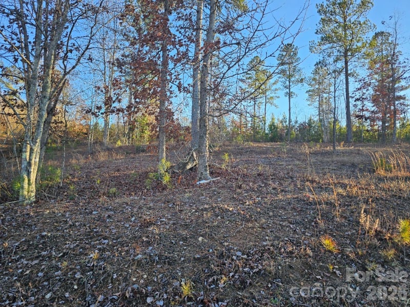 2167 Inlet Shore Rd, Connelly Springs, NC 28612