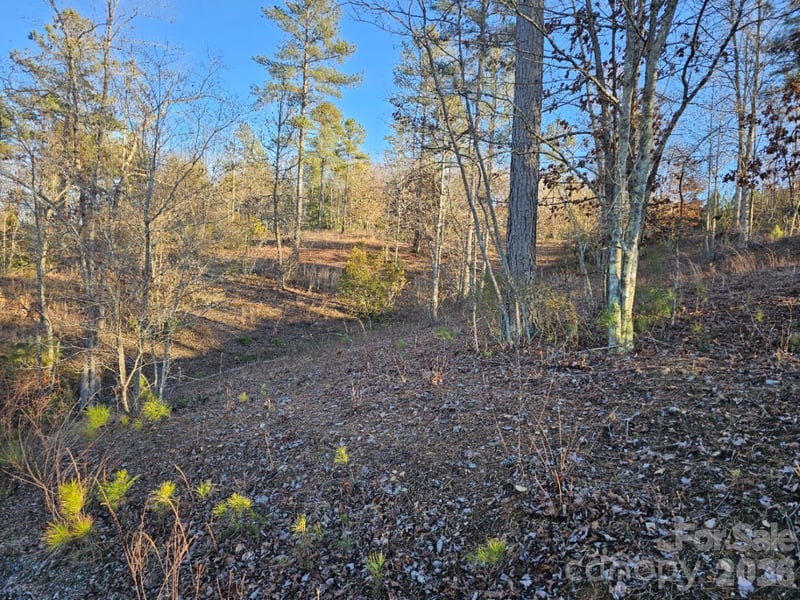 2167 Inlet Shore Rd, Connelly Springs, NC 28612