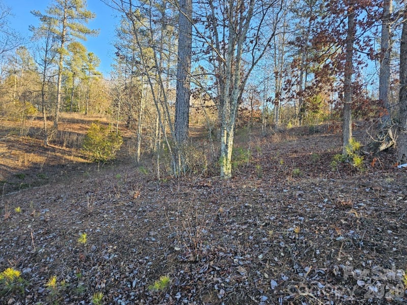 2167 Inlet Shore Rd, Connelly Springs, NC 28612
