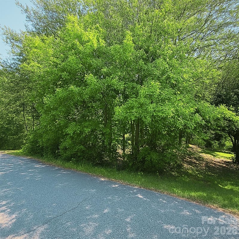 1243 Beechwood Dr, Newton, NC 28658
