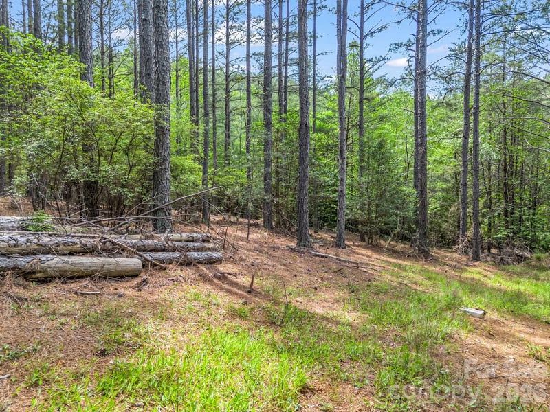 111 Cranberry Ln, Mooresboro, NC 28114