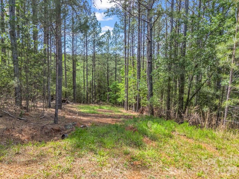111 Cranberry Ln, Mooresboro, NC 28114
