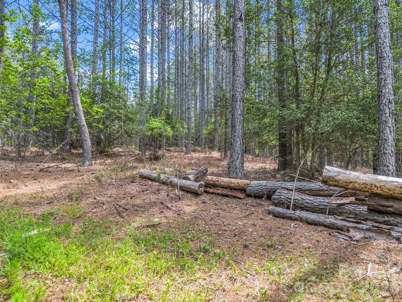 111 Cranberry Ln, Mooresboro, NC 28114