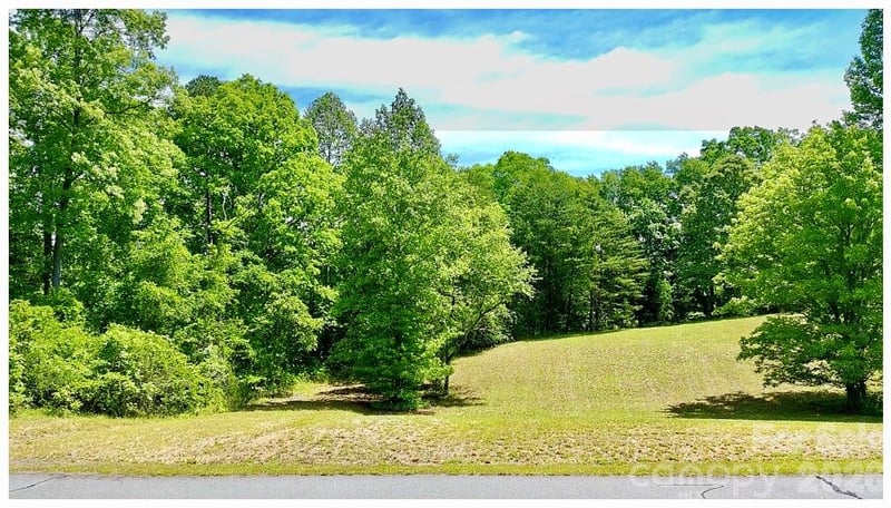 Shady Bark Ln #46, Rutherfordton, NC 28139