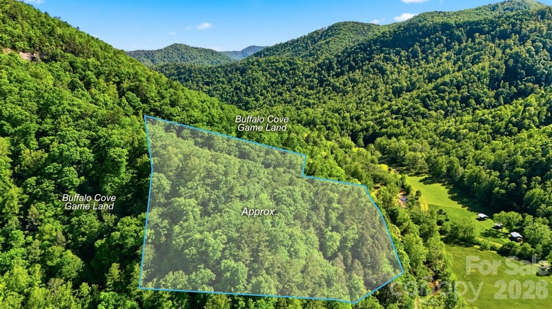 Buffalo Cove Rd, Lenoir, NC 28645