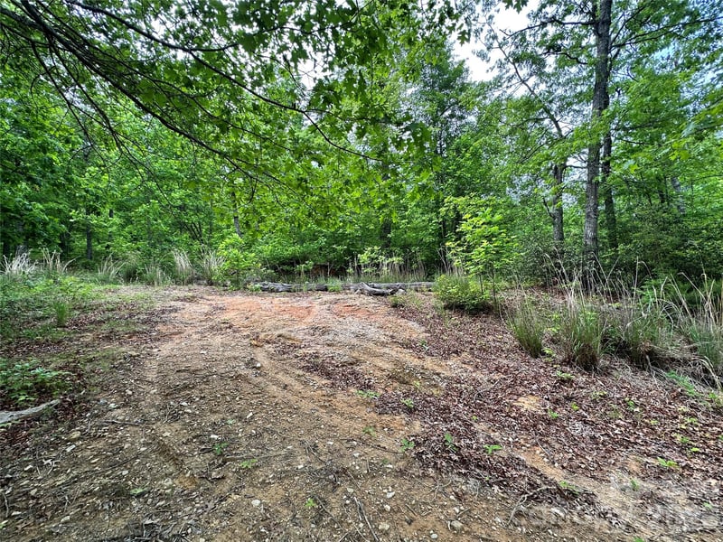 99999 Bird Creek Estates Rd, Black Mountain, NC 28711