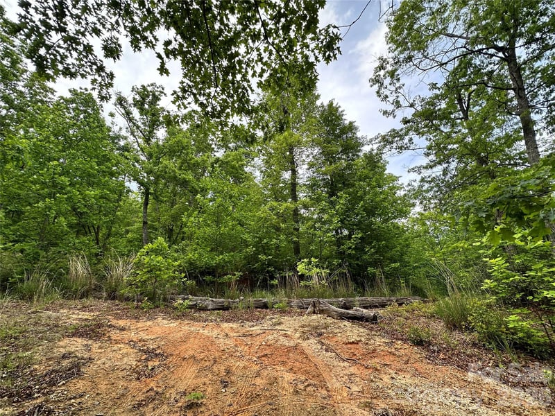 99999 Bird Creek Estates Rd, Black Mountain, NC 28711
