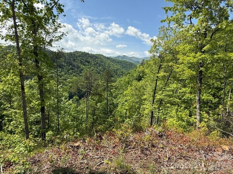 Fontana Lake Way #34, Bryson City, NC 28713