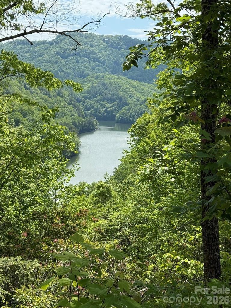 Fontana Lake Way #34, Bryson City, NC 28713