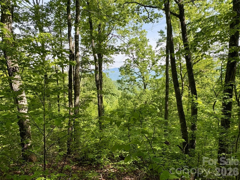 Carpenter Rd, Bryson City, NC 28713