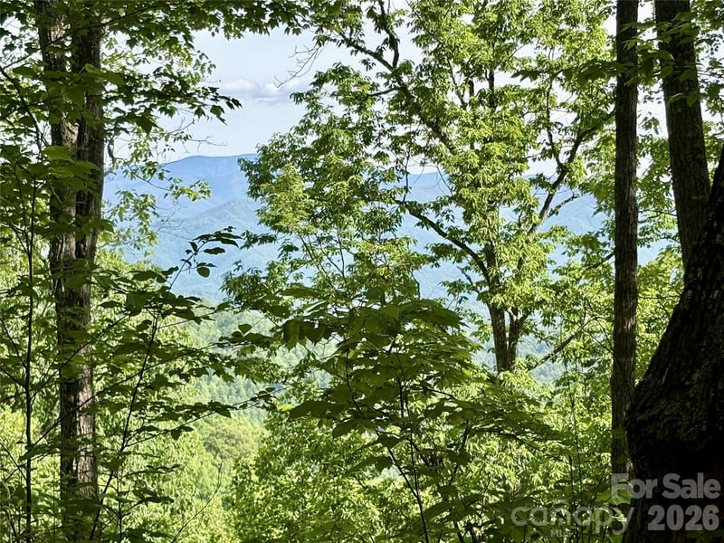 Carpenter Rd, Bryson City, NC 28713