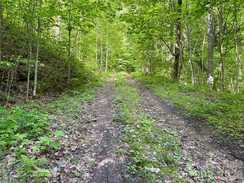 Carpenter Rd, Bryson City, NC 28713