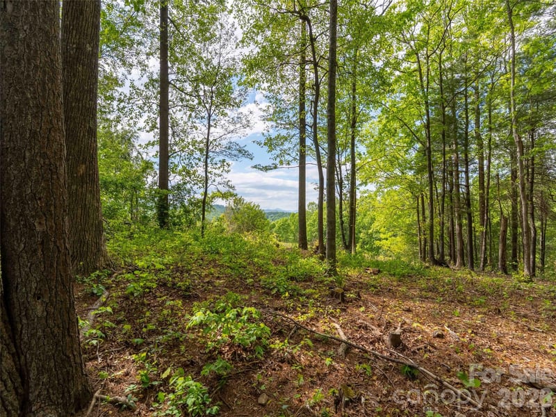 661 Whites Lake Blvd, Saluda, NC 28773
