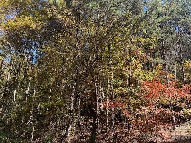 4294 South View Blvd, Morganton, NC 28655