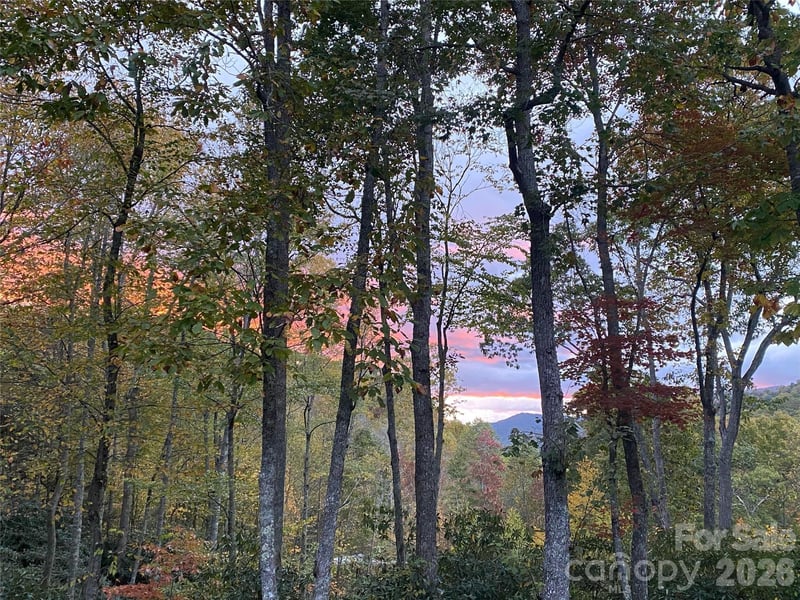 102 Carriage Dr, Fairview, NC 28730