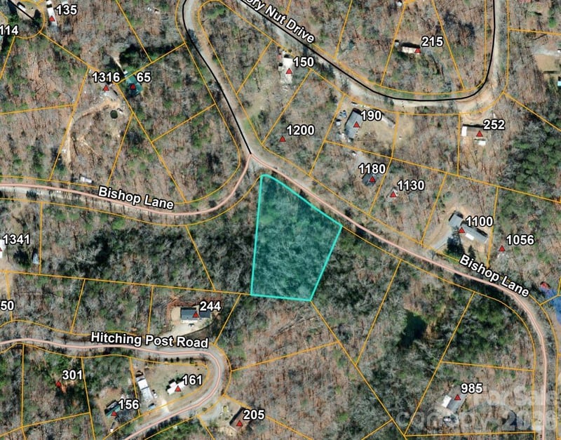 Bishop Ln, Mill Spring, NC 28756