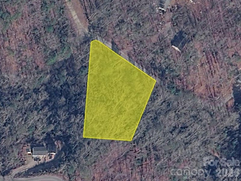 Bishop Ln, Mill Spring, NC 28756