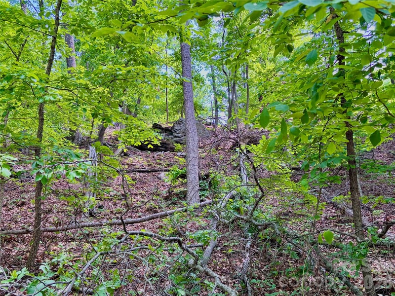 350 Springvalley Dr, Rutherfordton, NC 28139