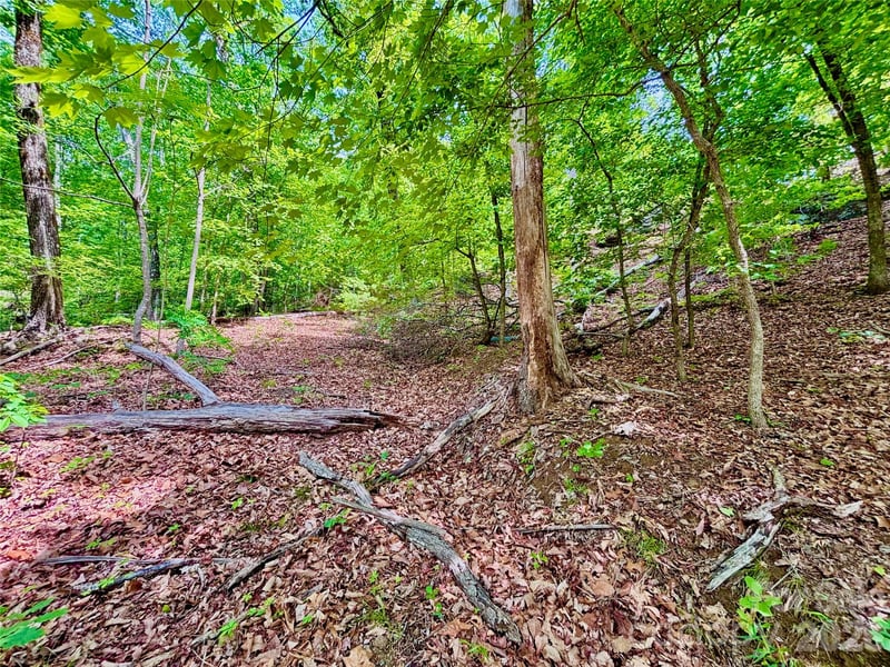 350 Springvalley Dr, Rutherfordton, NC 28139