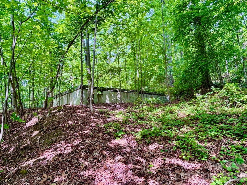 350 Springvalley Dr, Rutherfordton, NC 28139