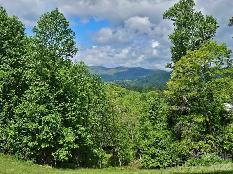 7 Hallaran Dr #PT 3, Leicester, NC 28753