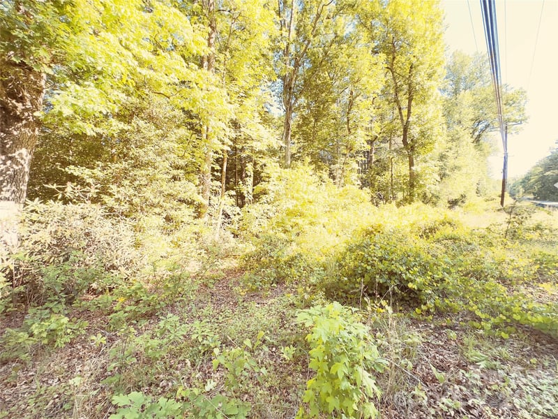 00 Cedar Brook Ln #13B & 15, Nebo, NC 28761