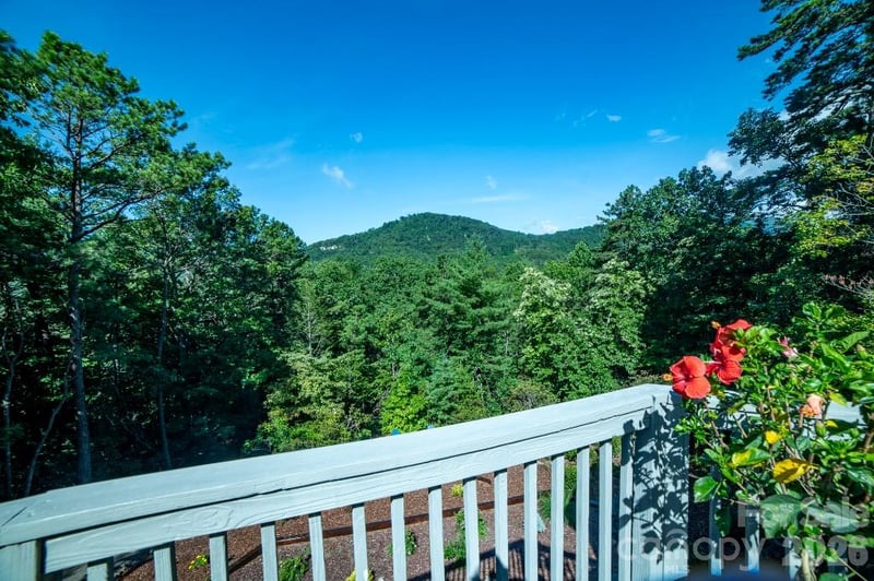 36 Lynx Dr, Black Mountain, NC 28711