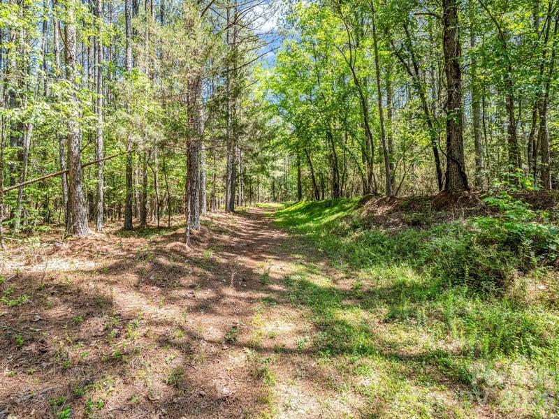 Jim Dobbins Rd, Rutherfordton, NC 28139