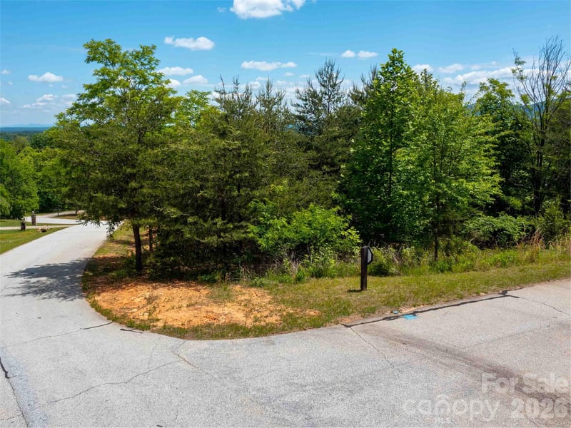 LOT 150 Birkdale Dr, Mill Spring, NC 28756