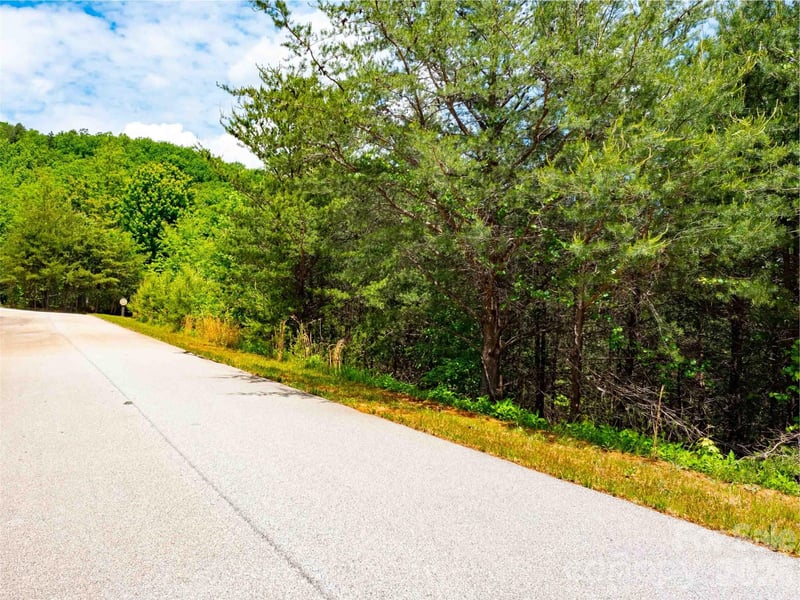 LOT 150 Birkdale Dr, Mill Spring, NC 28756