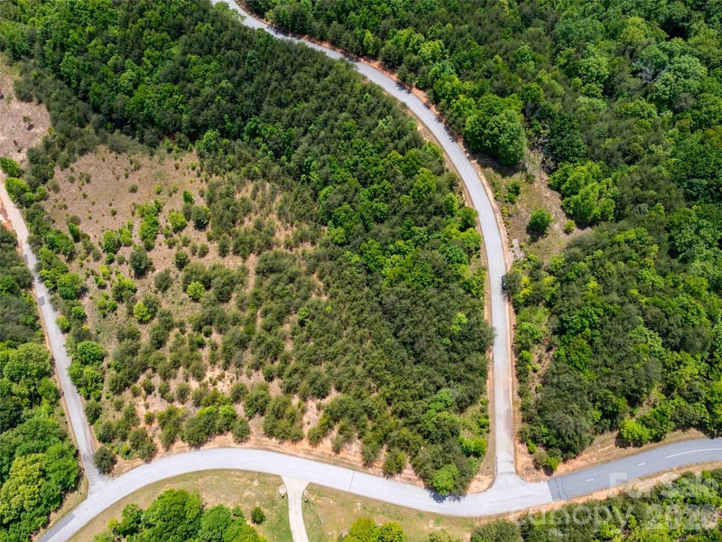 LOT 150 Birkdale Dr, Mill Spring, NC 28756
